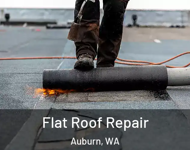  Flat Roof Repair Auburn, WA