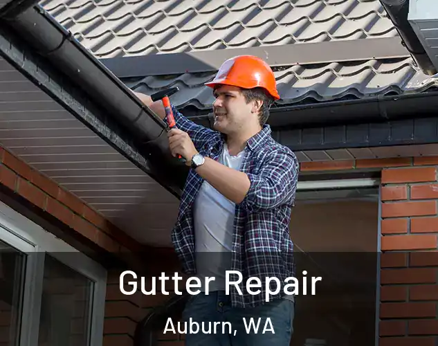  Gutter Repair Auburn, WA