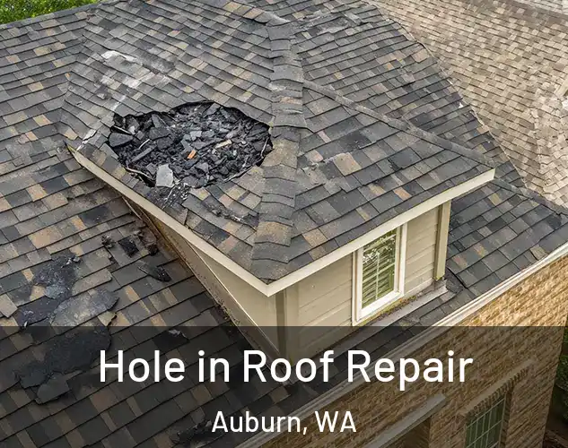  Hole in Roof Repair Auburn, WA