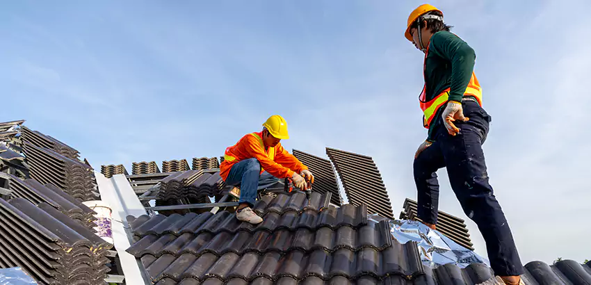 Professional Roofing Services in Auburn, WA