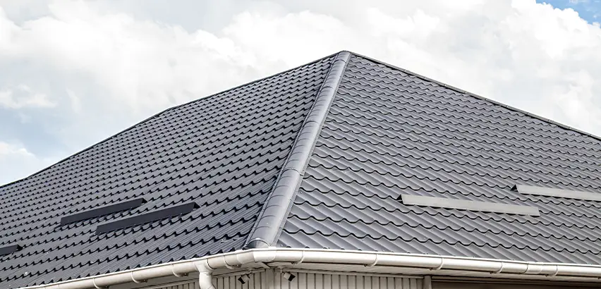 Roof Gully Repair in Auburn