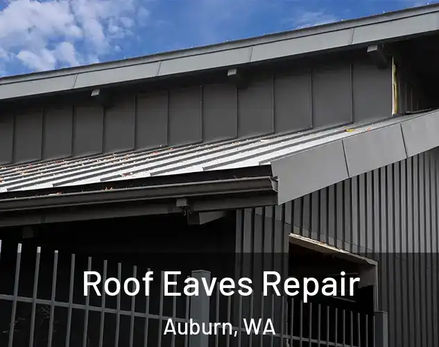  Roof Eaves Repair Auburn, WA
