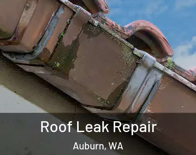  Roof Leak Repair Auburn, WA