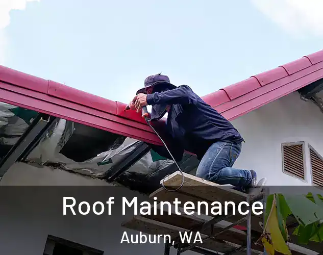  Roof Maintenance Auburn, WA