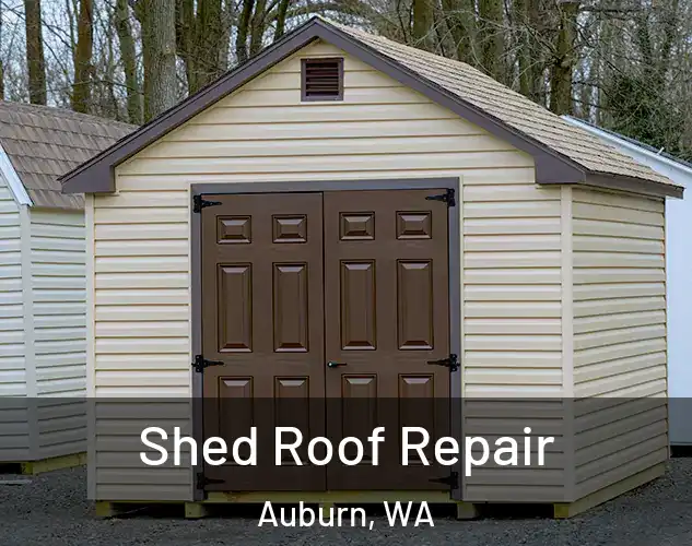  Shed Roof Repair Auburn, WA