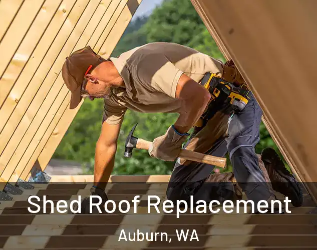  Shed Roof Replacement Auburn, WA